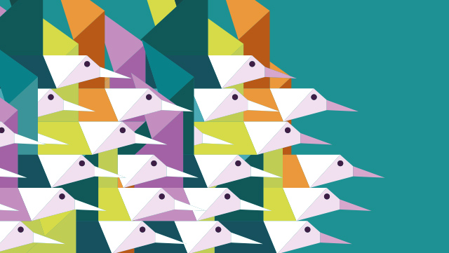 iStock-530392541-mangsaab-640x361 Grafik Vögel